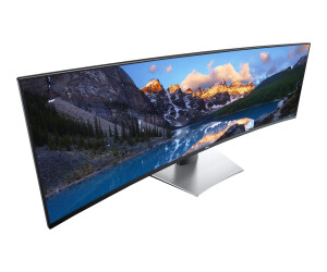 Dell Ultrasharp U4919DW - LED monitor - curved - 124.5 cm (49 ")