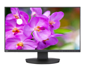 NEC display MultiSync EA241F -BK - LED monitor - 60.96 cm (24 ")