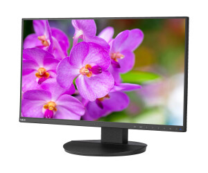 NEC MultiSync EA241F-BK - LED-Monitor - 60.96 cm (24")