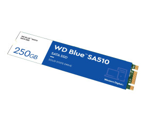 WD Blue SA510 WDS250G3B0B - SSD - 250 GB - internally