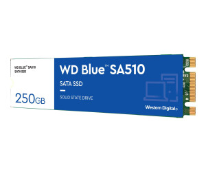 WD Blue SA510 WDS250G3B0B - SSD - 250 GB - intern