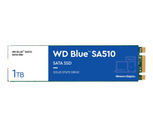 WD Blue SA510 WDS100T3B0B - SSD - 1 TB - intern