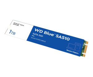 WD Blue SA510 WDS100T3B0B - SSD - 1 TB - Intern