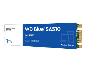 WD Blue SA510 WDS100T3B0B - SSD - 1 TB - intern