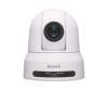 Sony SRG -X120WC - Conference camera - PTZ - Color (day & night)