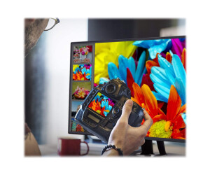 ViewSonic ColorPro VP2458 - LED-Monitor - 61 cm (24")