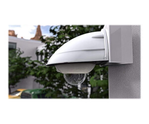 Mobotix DualDome D16B-F-6D6N036 - Netzwerk-Überwachungskamera - Kuppel - Außenbereich - Vandalismussicher / Wetterbeständig - Farbe (Tag&Nacht)