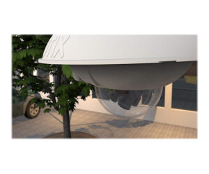 Mobotix Dualdome D16B -F -6D6N036 - Network monitoring camera - dome - outdoor area - Vandalism -proof / weather -resistant - color (day & night)