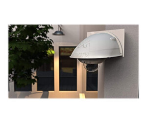 Mobotix Dualdome D16B -F -6D6N036 - Network monitoring camera - dome - outdoor area - Vandalism -proof / weather -resistant - color (day & night)
