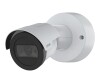 Axis M2036-LE - Netzwerk-Überwachungskamera - Bullet - Außenbereich - wetterfest - Farbe (Tag&Nacht)