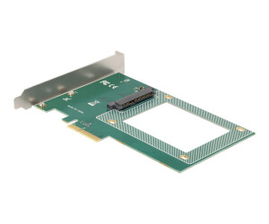 Delock Speicher-Controller - 2.5" (6.4 cm)