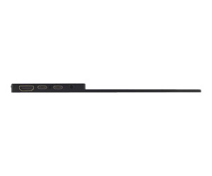 Verbatim PMT-17 - LED-Monitor - 43.9 cm (17.3")