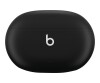 Apple Studio Buds - True Wireless headphones with microphone