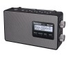 Panasonic RF -D10EG - portable DAB radio - 2 watts