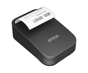 EPSON TM P20II (101) - Evalive printer - Point matrix