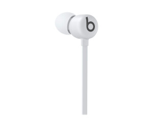 Apple Flex All -Day - earphones with microphone - in the ear