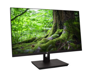 V7 L238IPS-E - LED-Monitor - 60.5 cm (23.8") - 1920 x 1080 Full HD (1080p)