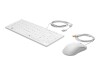 HP Healthcare-keyboard and mouse set-USB