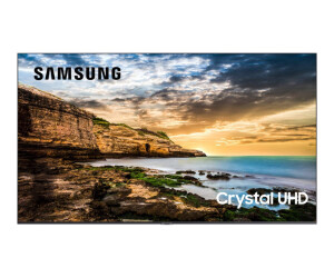 Samsung QE43T - 108 cm (43 ") Diagonal class Qet Series LCD display with LED backlight - digital signage - 4K UHD (2160p)