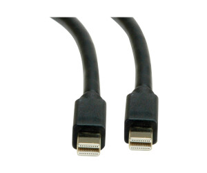 Roline DisplayPort cable - Mini DisplayPort (M)