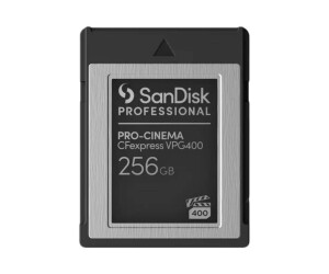 SANDISK PROFESSIONAL SanDisk - Flash-Speicherkarte - 256...