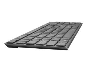 Lenovo Professional Ultraslim Combo - Tastatur-und-Maus-Set - kabellos - 2.4 GHz - QWERTY - USA/Europa - Iron Gray - für ThinkCentre M90; M90n-1 IoT; ThinkPad P73; X1 Carbon (7th Gen)