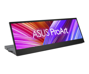 ASUS PROART PA147CDV - LED monitor - 35.6 cm (14 ")