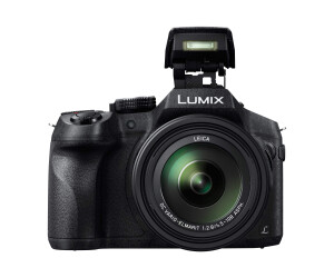 Panasonic Lumix DMC-FZ300 - Digitalkamera - Kompaktkamera