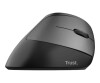 Trust Bayo - vertical mouse - ergonomic - for right -handed - optically - 6 keys - wireless - 2.4 GHz - Wireless recipient (USB)
