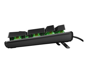 HP Pavilion Gaming 550 - keyboard - backlight