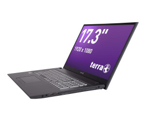TERRA Mobile 1716A - Intel Pentium Gold 6405U / 2.4 GHz - Win 11 Home - UHD Graphics - 8 GB RAM - 256 GB SSD - DVD-Writer - 43.9 cm (17.3")