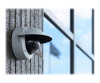 Axis M3216-LVE - Netzwerk-Überwachungskamera - Kuppel - Außenbereich - vandalismusresistent/wasserfest - Farbe (Tag&Nacht)