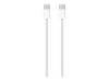 Apple 10.9-inch iPad Wi-Fi - 10. Generation - Tablet - 256 GB - 27.7 cm (10.9")
