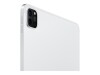 Apple 11-inch iPad Pro Wi-Fi - 4. Generation - Tablet - 2 TB - 27.9 cm (11")