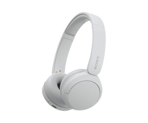 Sony WH-CH520 - Kopfhörer mit Mikrofon - On-Ear