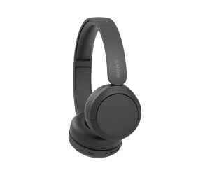 Sony WH-CH520 - Kopfhörer mit Mikrofon - On-Ear