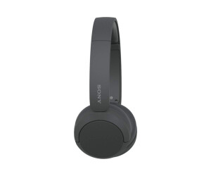 Sony WH-CH520 - Kopfhörer mit Mikrofon - On-Ear