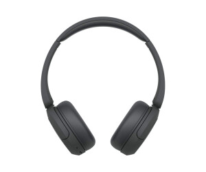 Sony WH -CH520 - headphones with microphone - on -ear