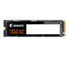 Gigabyte AORUS Gen4 5000E - SSD - 500 GB - intern - M.2 2280 - PCIe 4.0 x4 (NVMe)