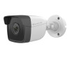 Levelone Gemini Series FCS -5201 - network monitoring camera - outdoor area, indoor area - weatherproof - color (day & night)