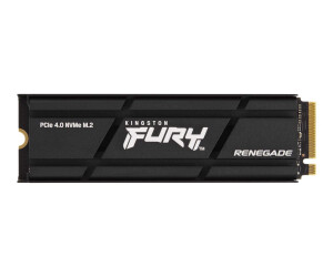 Kingston Fury Renegade - SSD - 500 GB - Intern - M.2 2280...