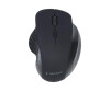 Gembird MUSW-6B-02 - Maus - ergonomisch - optisch - 6 Tasten - kabellos - 2.4 GHz - kabelloser Empfänger (USB)