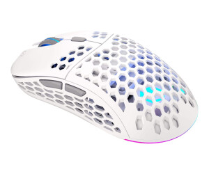 Endorfy Lix Onyx - Mouse - Visually - 6 keys - wireless -...