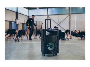 Lenco PMX-250 - Lautsprecher - für PA-System