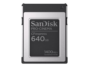 SANDISK PROFESSIONAL SanDisk PRO-CINEMA - Flash-Speicherkarte - 640 GB