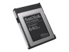 SANDISK PROFESSIONAL SanDisk PRO-CINEMA - Flash-Speicherkarte - 640 GB