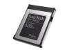 SanDisk PRO-CINEMA - Flash-Speicherkarte - 320 GB