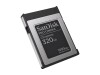 SanDisk PRO-CINEMA - Flash-Speicherkarte - 320 GB