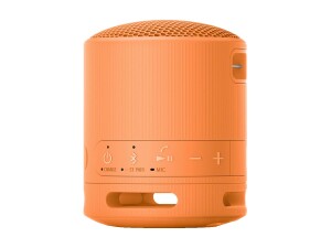 Sony SRS-XB100 - Lautsprecher - tragbar - kabellos
