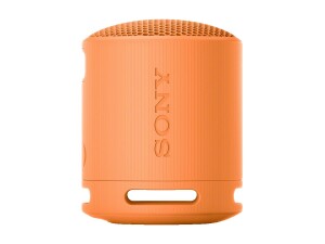 Sony SRS-XB100 - Lautsprecher - tragbar - kabellos